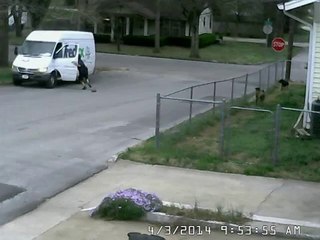 Sometimes Security Cameras catch a gem!