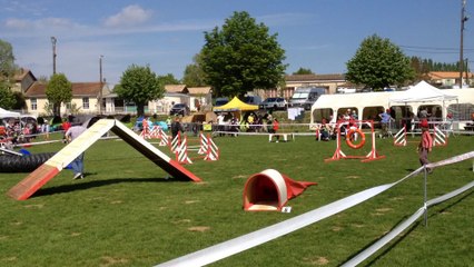 Ciana et Jean Yves à Cherveux Avril 2014