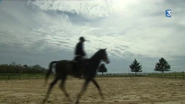 Brionne (27) : Pierre Dionisi, cavalier, spécialiste de concours complet