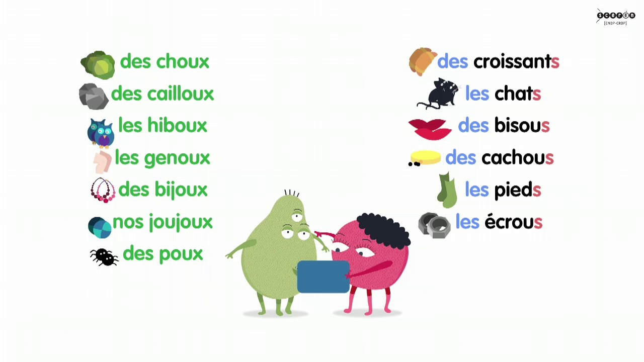 le-pluriel-du-nom-1
