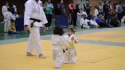 cutest fight you'll ever see!