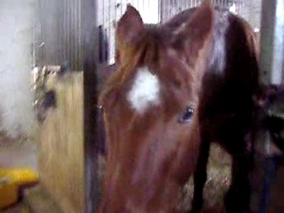 Délicieuse carottes!