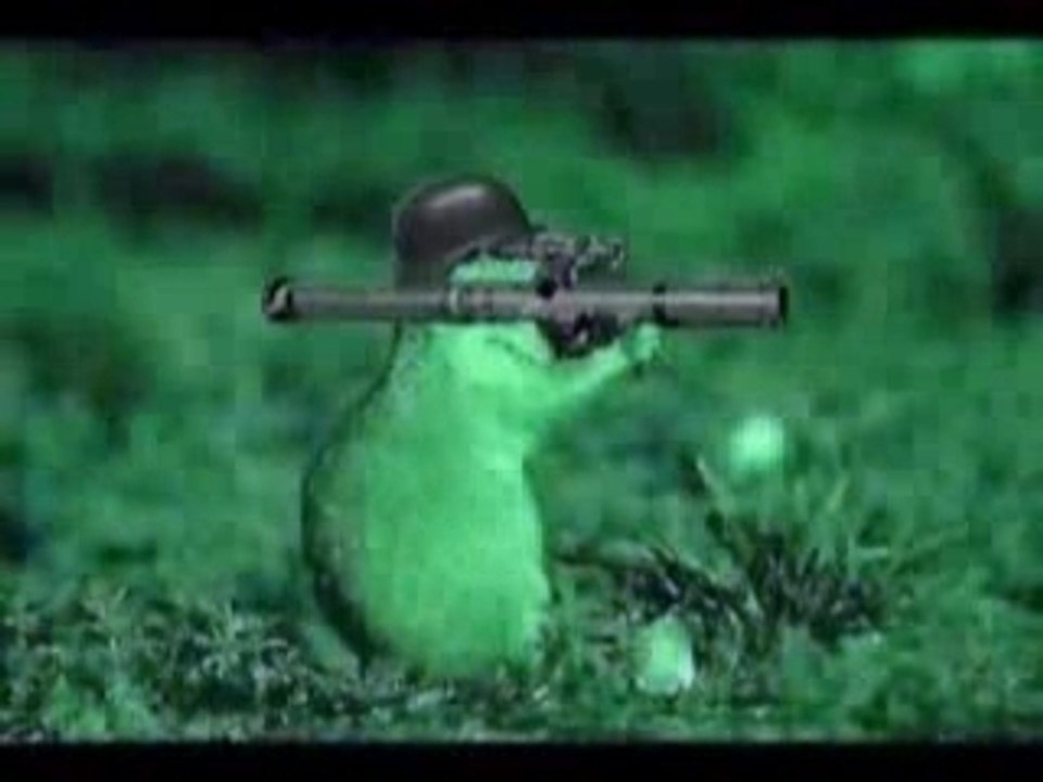 HAMSTERDANCEVIDEOINS