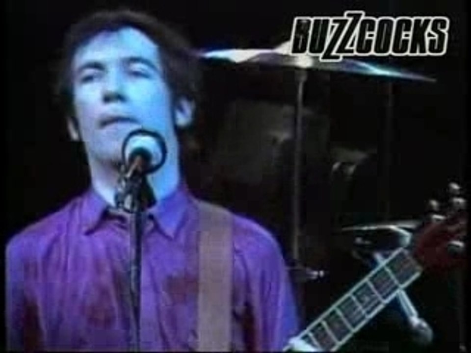 The Buzzcocks - Ever Fallen In Love