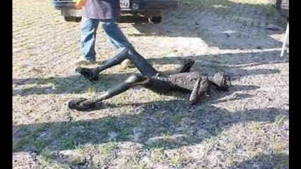 humano sentindo efeito Joule - cenas reais  ✔