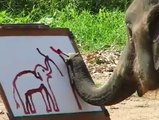 VIDEO: elefante se dibuja con una sonrisa y conmueve las redes sociales