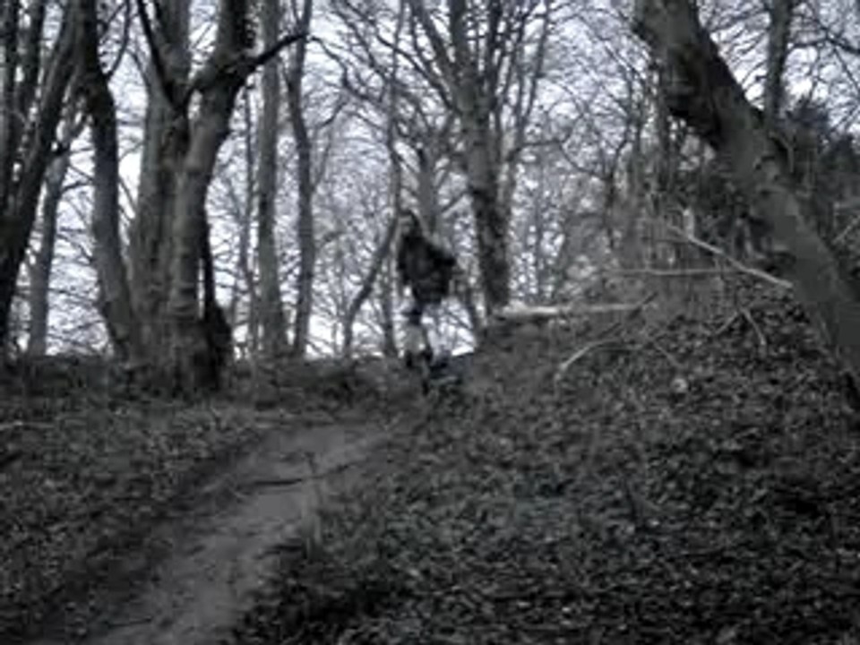 video 2