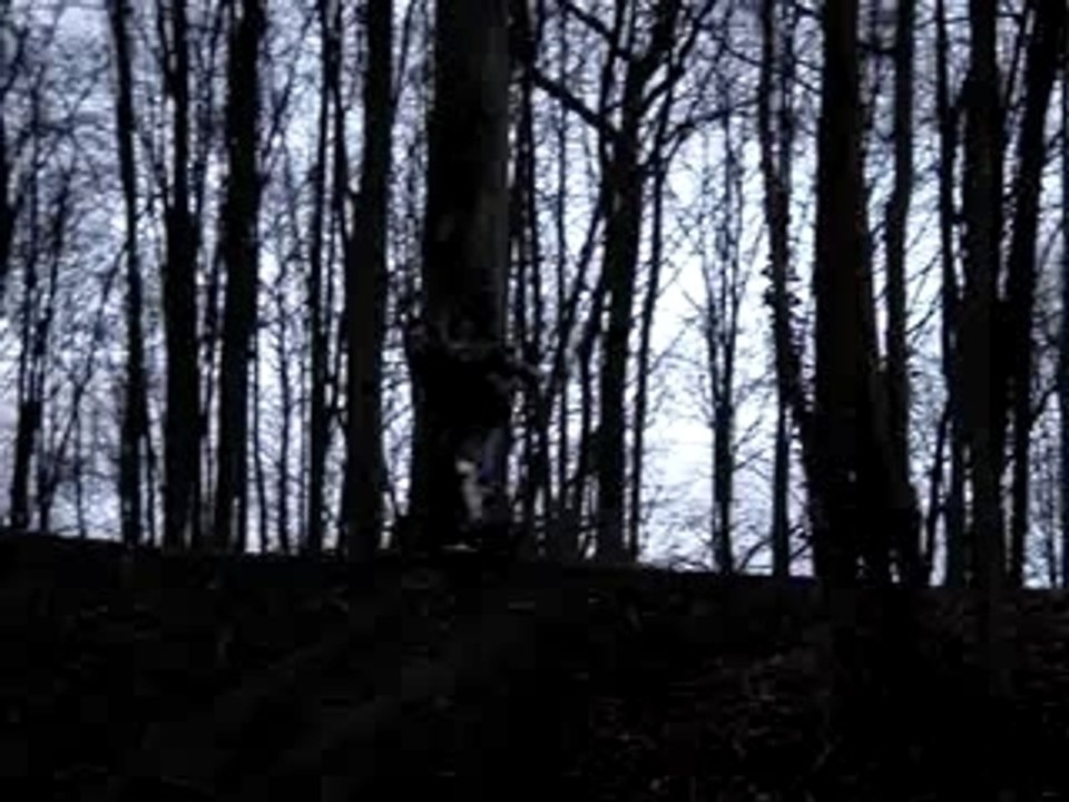 video 6