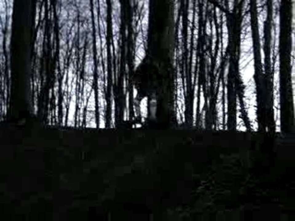 video 8