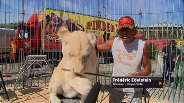 Le cirque Pinder de retour à Lyon