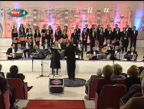 Mücella ATA-Mavi Yelek Mor Düğme