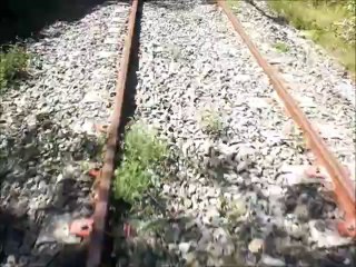 MICHEL POLIN  Sortie du tunnel