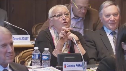 Colette POPARD. Voeu contre la réforme des rythmes scolaires. 11 avril 2014