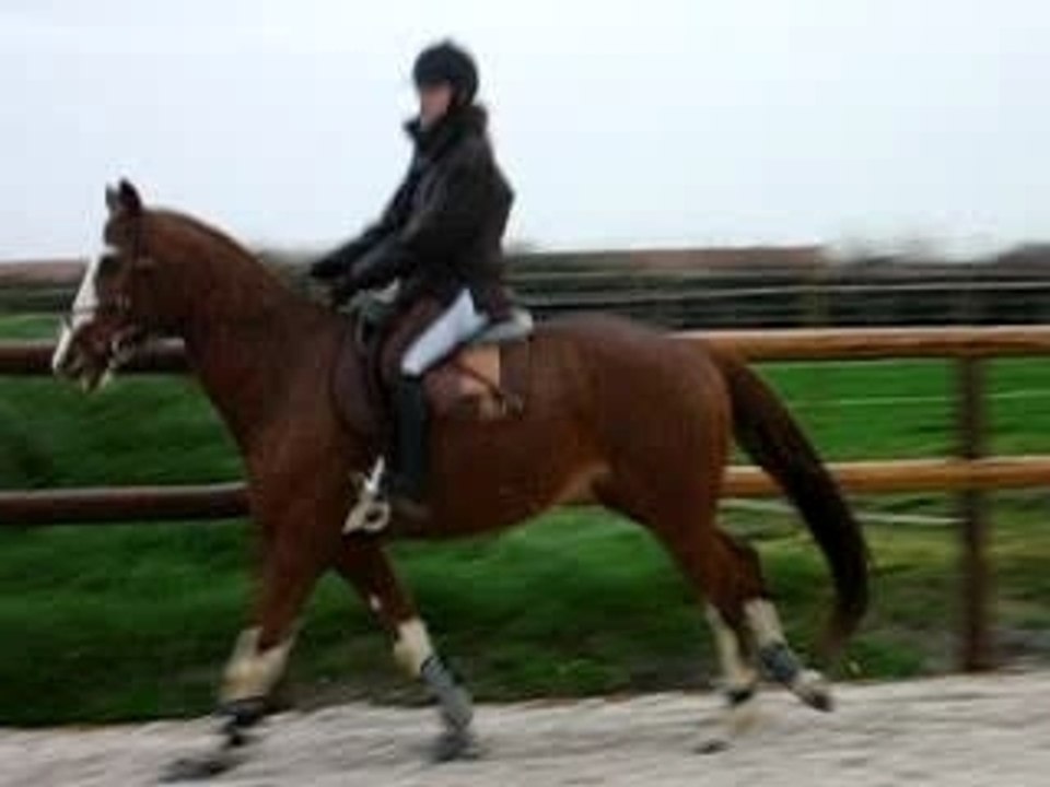 fak galop main gauche