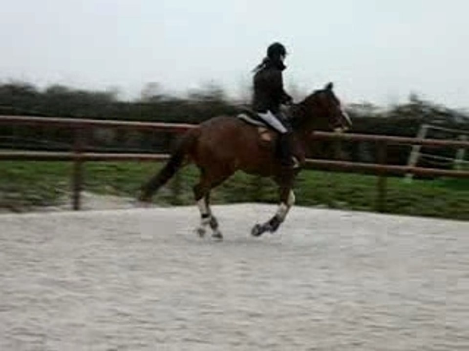 fak galop main droite