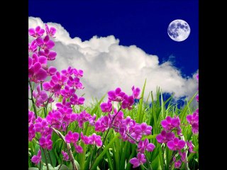 Döngüsel Dönem ve Olumlamalar 🌙