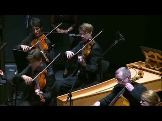 Los Instrumentos Musicales 4 - El Fagot