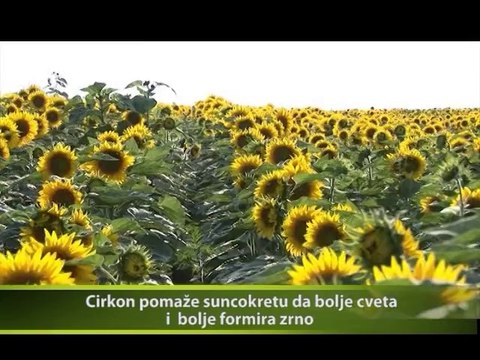 SVET POLJOPRIVREDE 343