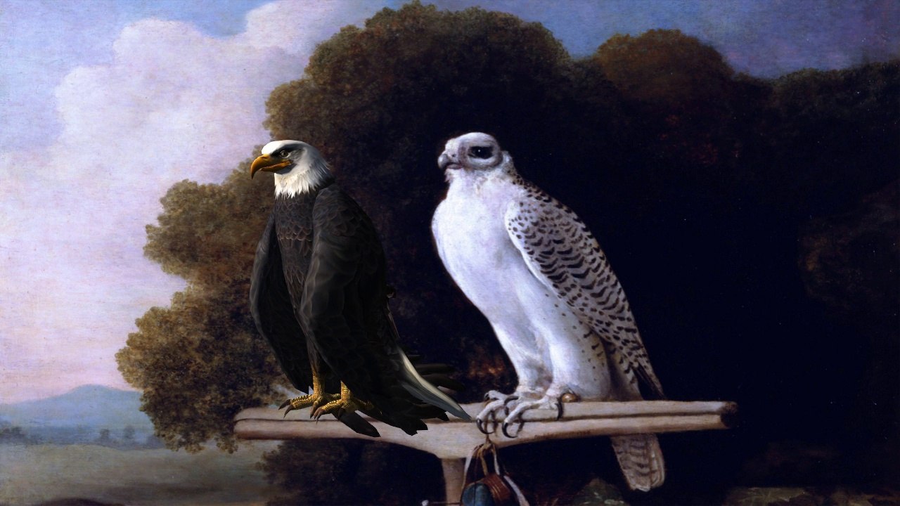 Eagle