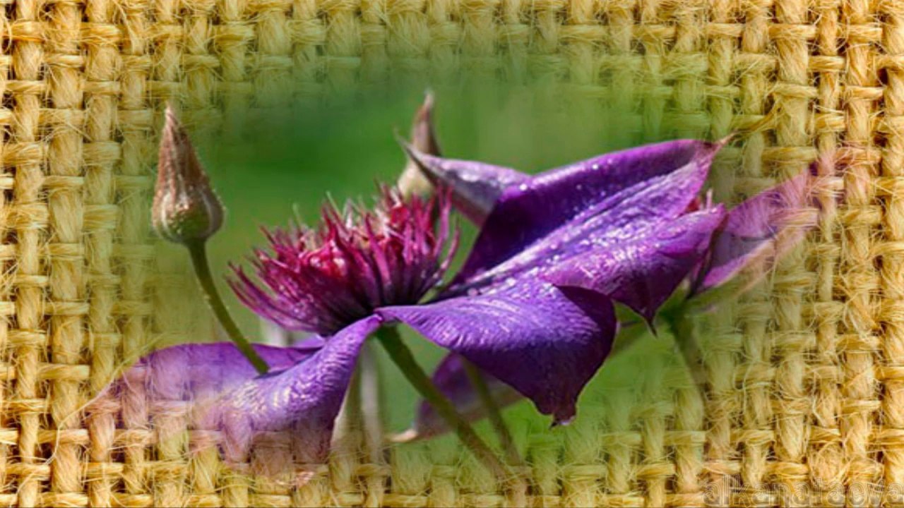 .ГИТАРА.Однокласники.ру