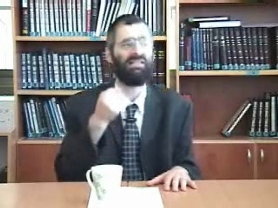 Les Conversions (Rav-Chaya)