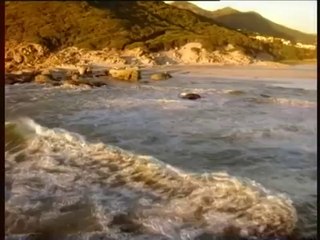 TINA TURNER - Something Beautiful Remains (1996)