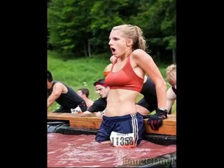 apex seo wp plugin  seamless seo review bonus