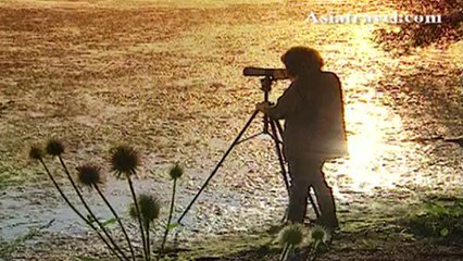 Bird Watching & Binocular Lens Factory, Alps Mountain Austria by Asiatravel.com