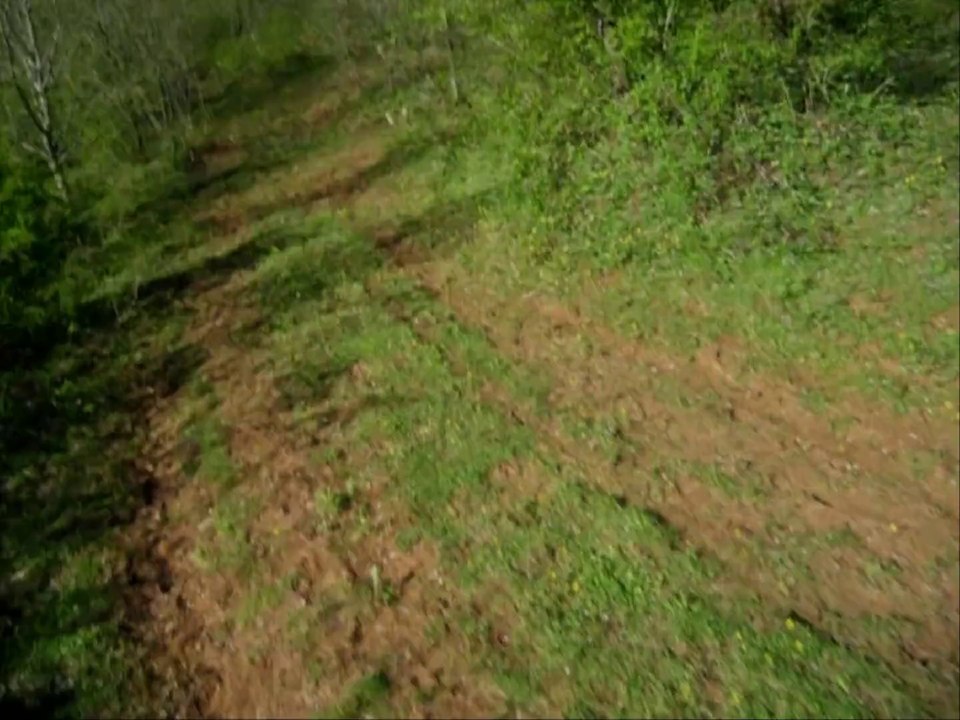 Downhill Freeride [MTB]