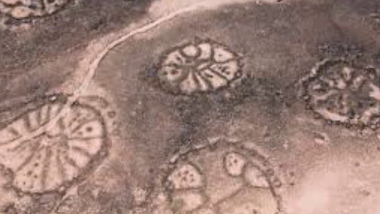 Nazca Desert's Strange Lines in Peru - Sansar Ke Rochak Tathya