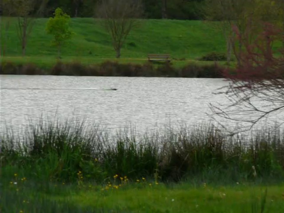 hydro saw joulian