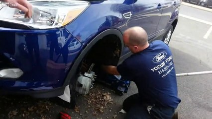 Une famille d'écureuils dans une voiture!