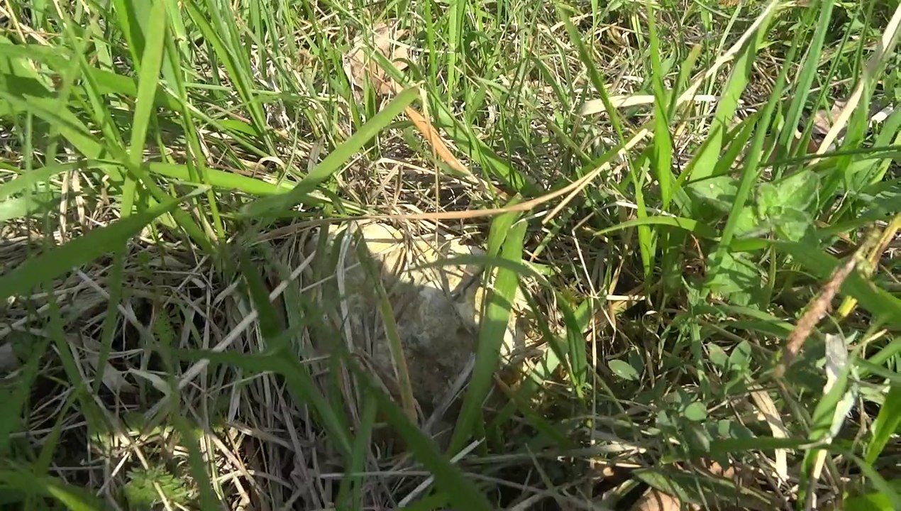 04-Colline_Caillavet