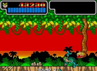 WonderBoy 3 Dragon's lair 1988-Sega