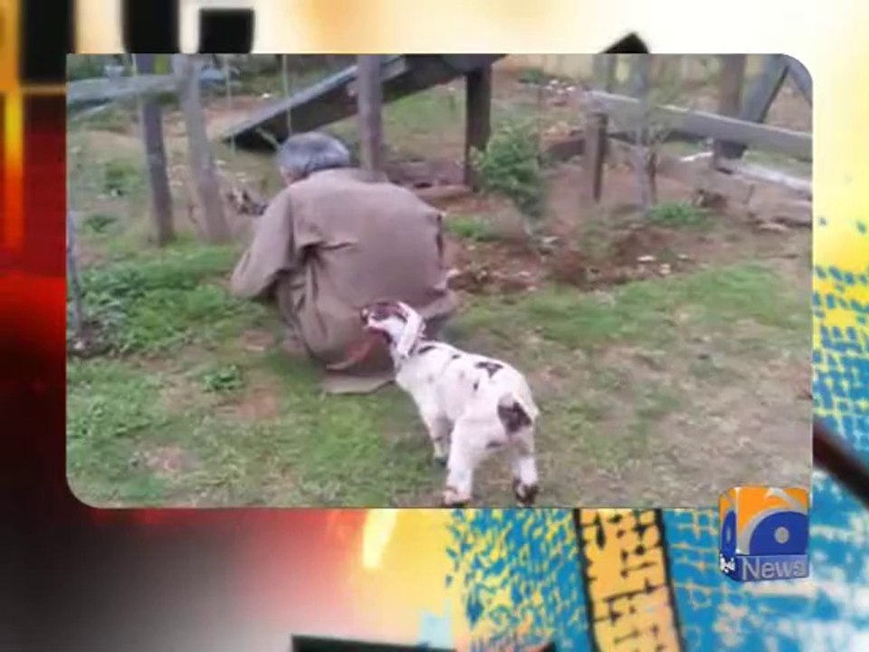 Geo Dost-13 Apr 2014