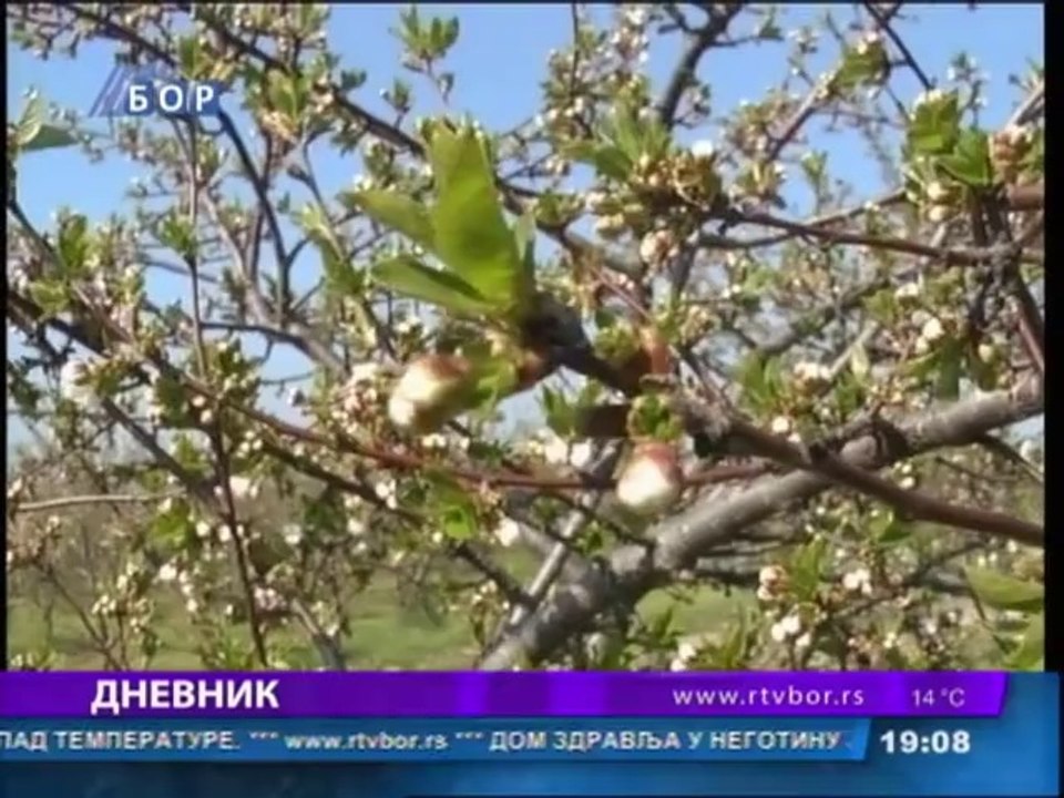 Dnevnik, 13. april 2014.