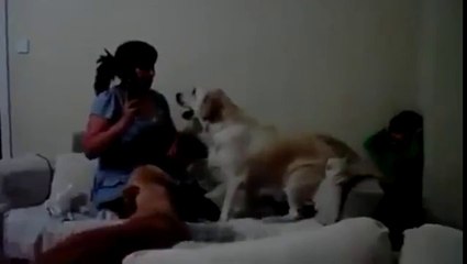 Çocuğunu Döven Anneye Köpek Tepkisi -Vidobe.com