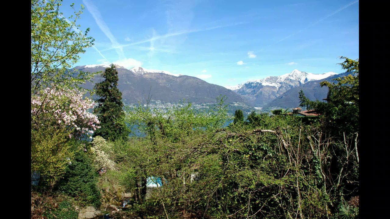 Happy Birthday My Love