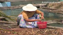 Koh Pan Yi Krabi Fishing Village, Thailand by Asiatravel.com