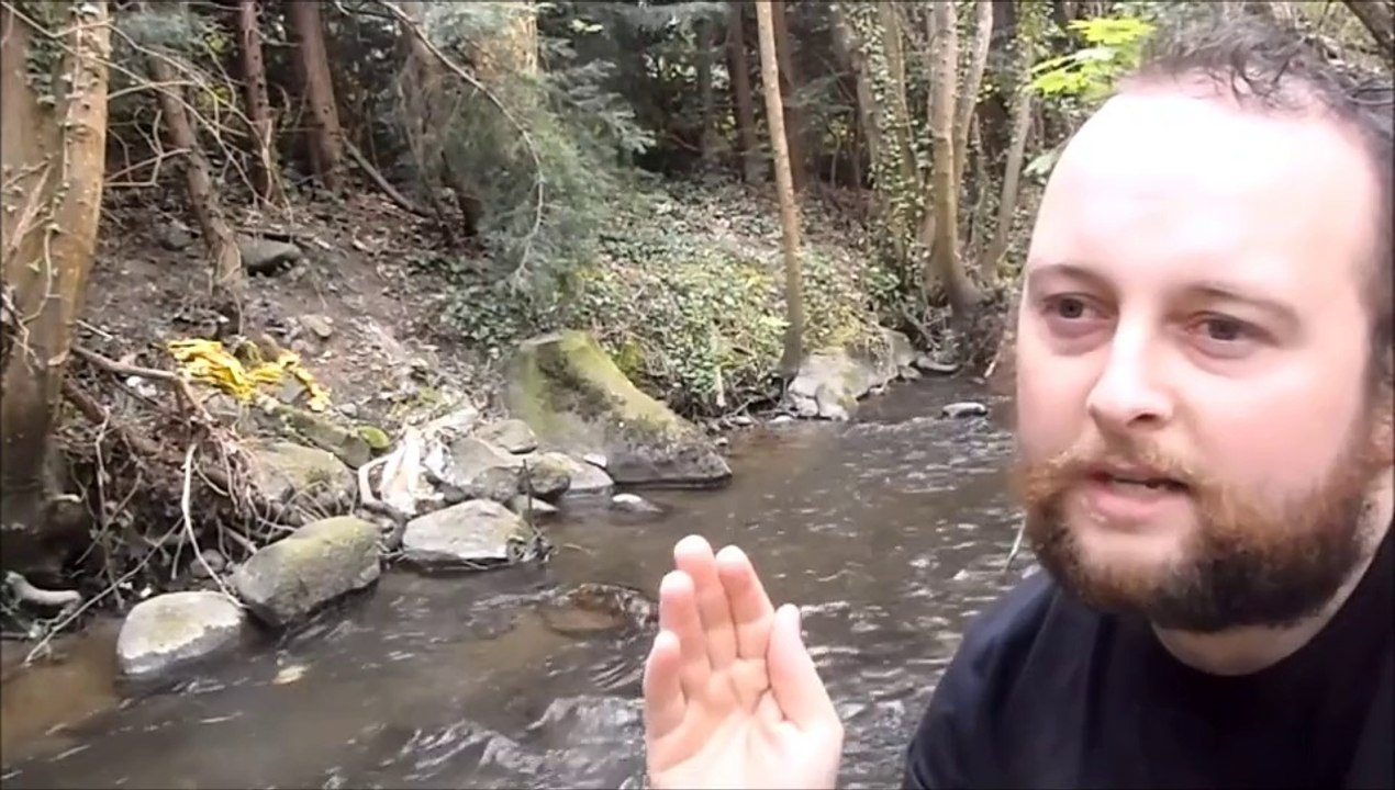 King William V - False Messiah pt1 - Introduction