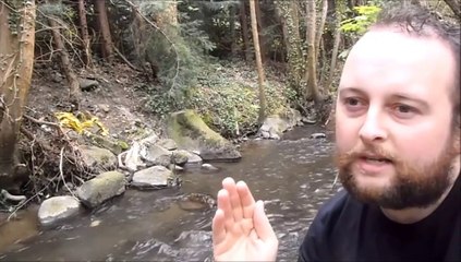 King William V - False Messiah pt1 - Introduction