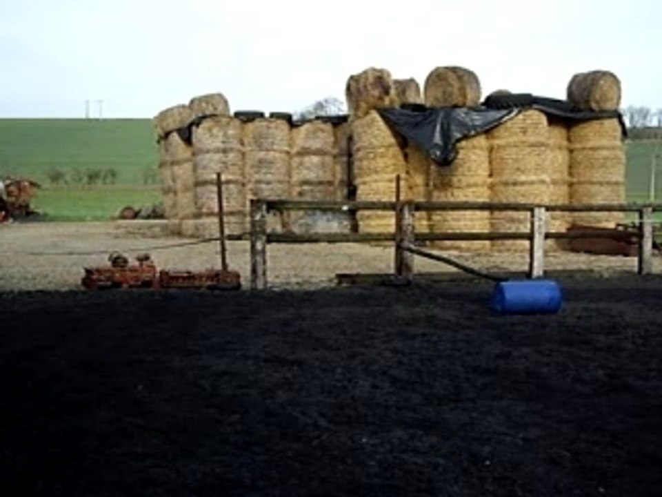 Gringo saut en longe