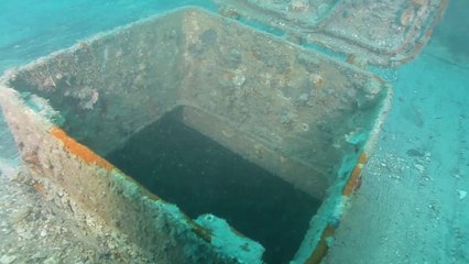 Un vieux remorqueur transformé en squat pour poissons