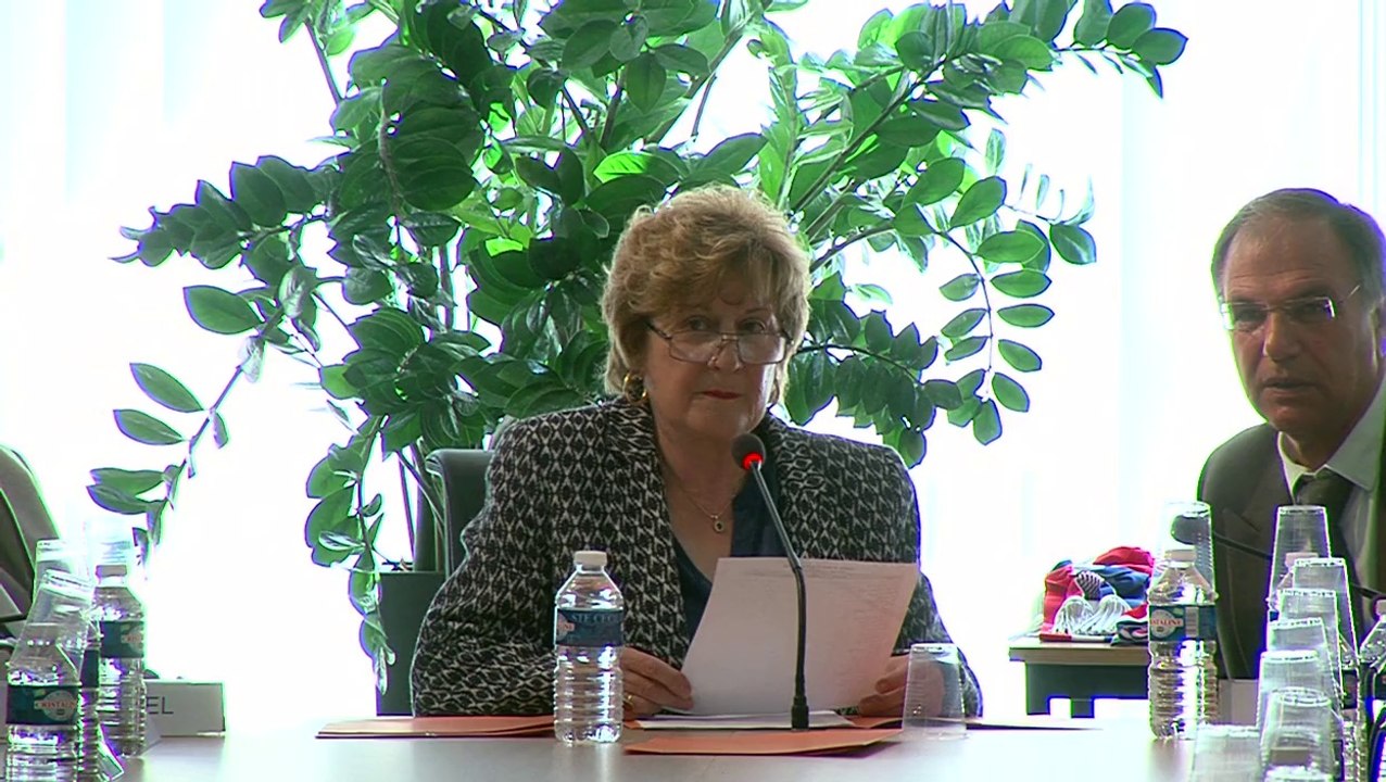 Elections municipales 2014