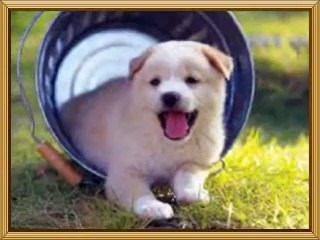 《휴게텔정보》|휴게텔가격|아메센터twitter.com/amecenter『휴게텔』휴게텔사진