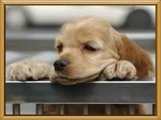 《휴게텔영상》|휴게텔언니|아메센터twitter.com/amecenter『휴게텔』휴게텔실사