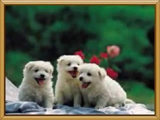 《휴게텔트위터》|휴게텔주소|아메센터twitter.com/amecenter『휴게텔』휴게텔접속