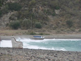 Hastane önünde incir ağacı - Ahmet Karakayan