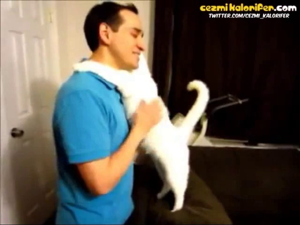 İnsan Gibi Sarılan Kedi