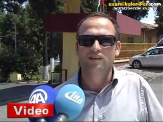 Araba Üstünde Püfür Püfür Yolculuk Yapan Köpek